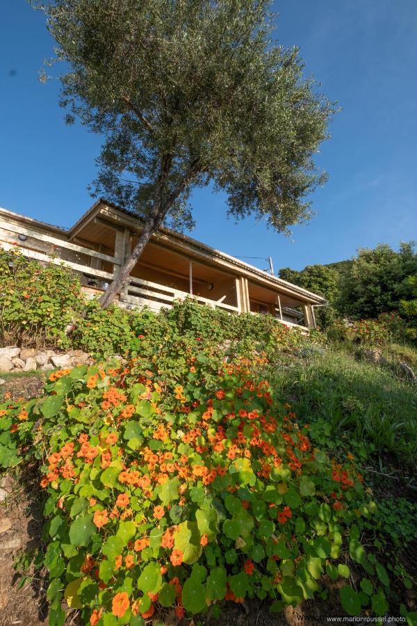 Les Terrasses De Scaglioli Vila Villanova Exterior foto